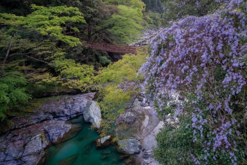 四国旅行のhub拠点 古民家ゲストハウス Heso Camp Miyoshi  Eksteriør bilde